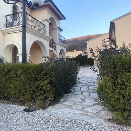 Romana * Елените
